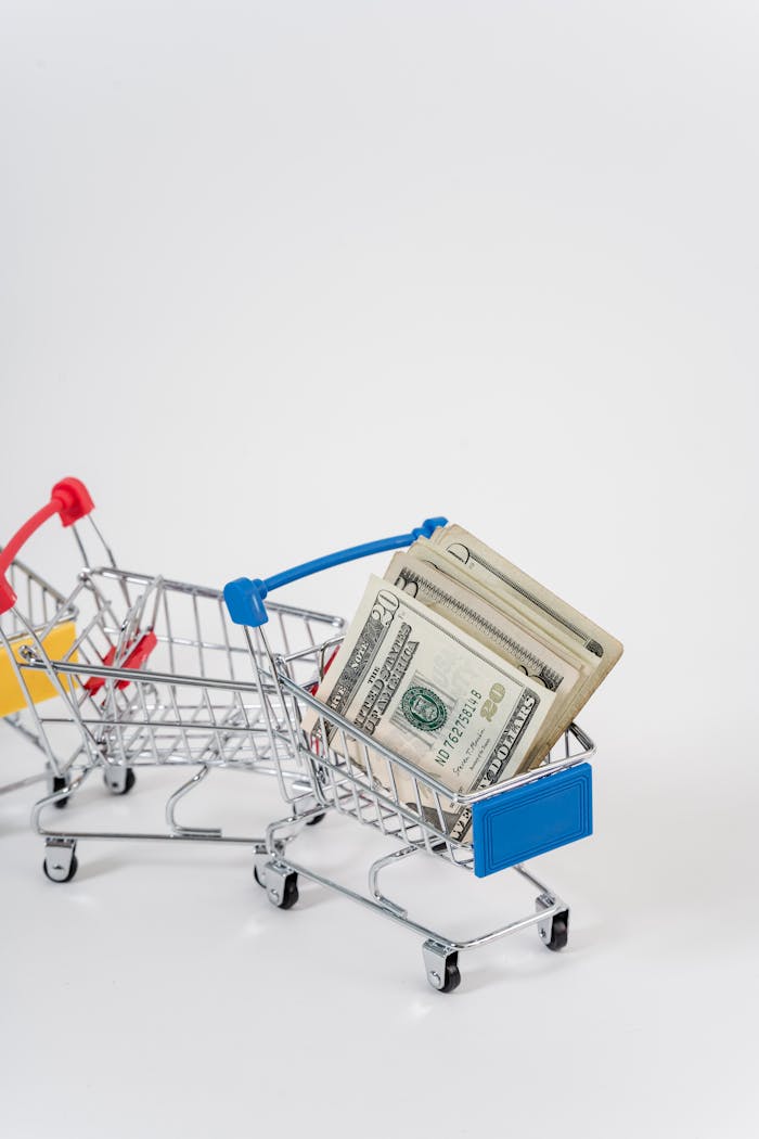 A close-up of miniature shopping carts filled with dollar bills, symbolizing finance and shopping.